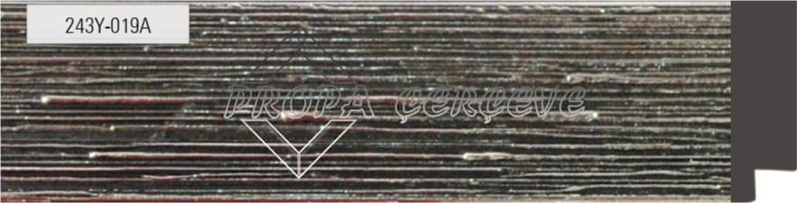 243y-019a