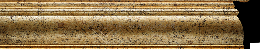 57-X02-1531